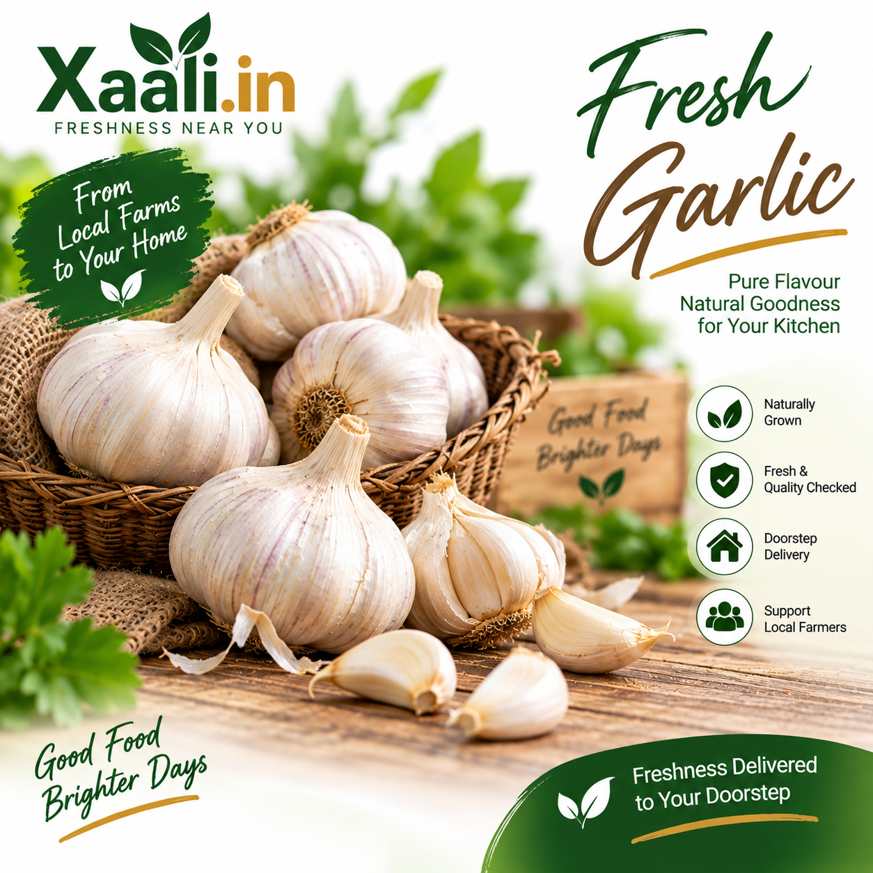 Fresh, flavourful garlic with a rich aroma—perfect for everyday cooking. 🧄 Carefully selected and delivered by Xaali.in.