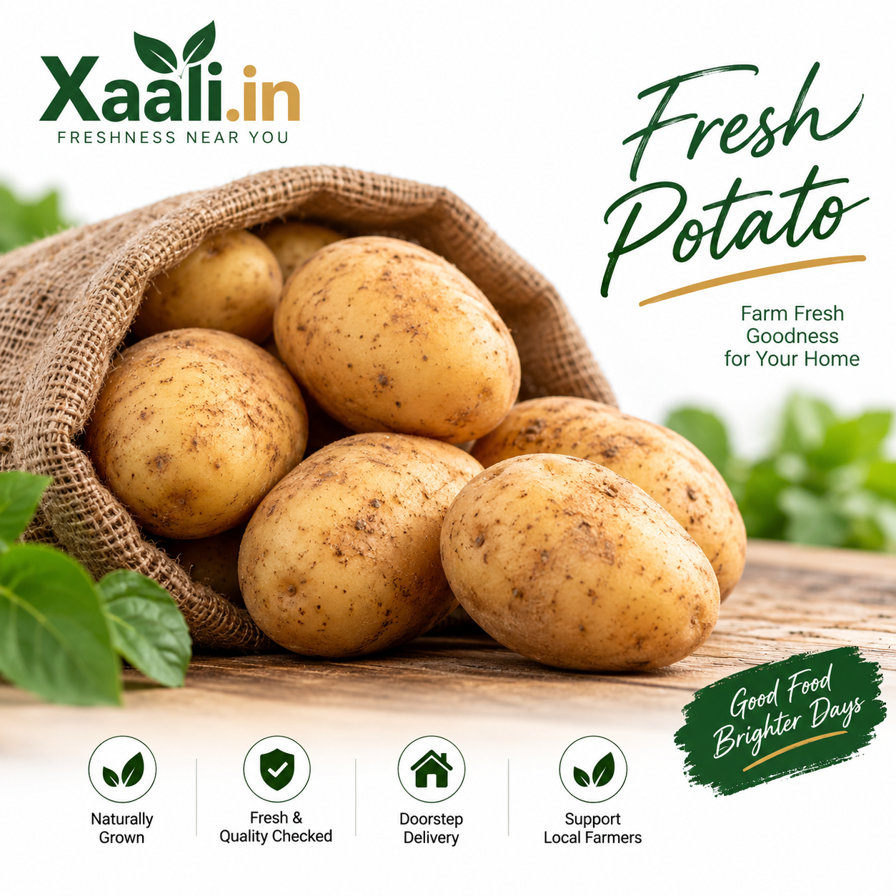 Fresh, quality potatoes carefully selected for everyday cooking. Perfect for curries, fries, mashed potatoes, and more. 🥔🌱 Freshly delivered to your doorstep by Xaali.in.