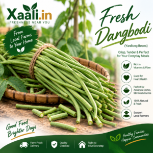 Fresh, tender Dangbodi (Yardlong Beans)—perfect for Assamese curries, stir-fries and everyday cooking. 🫘 Freshly selected by Xaali.in.